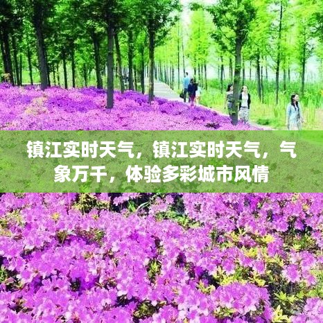 镇江实时天气更新，气象变化与多彩城市风情体验