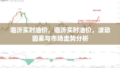 临沂实时油价波动因素及市场走势深度解析