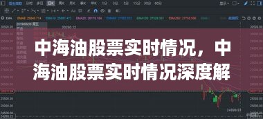 中海油股票实时情况深度解析与最新动态