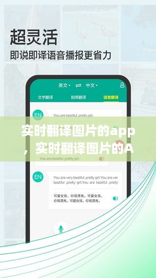 实时翻译图片App，革新跨文化交流的桥梁与工具