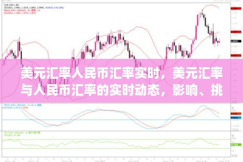 美元汇率与人民币汇率的实时动态，影响、挑战及应对策略