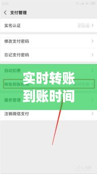 实时转账到账时间解析，影响因素与流程详解