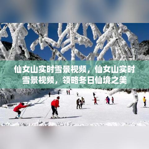 仙女山实时雪景视频，领略冬日仙境之美的奇幻世界