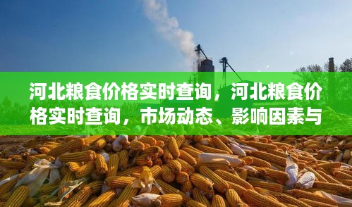 河北粮食价格实时查询，市场动态、影响因素与未来趋势分析