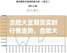 合肥大豆期货实时行情走势深度解析及市场洞察