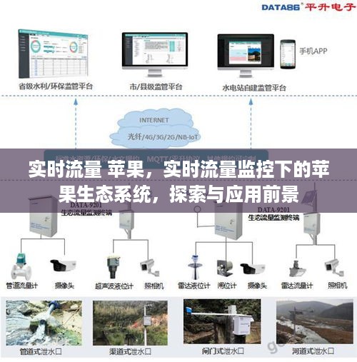 实时流量监控下的苹果生态系统，探索、应用与前景展望