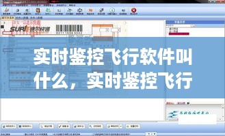 实时鉴控飞行软件的名称及应用解析