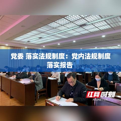 党委 落实法规制度：党内法规制度落实报告 