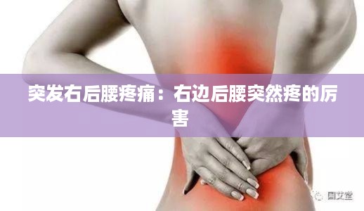 突发右后腰疼痛：右边后腰突然疼的厉害 