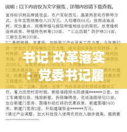 书记 改革落实：党委书记履行整改落实责任报告 