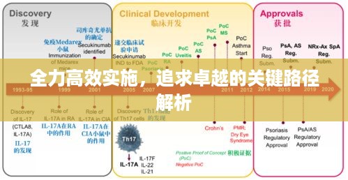 全力高效实施，追求卓越的关键路径解析