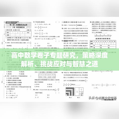 高中数学卷子专题研究，策略深度解析、挑战应对与智慧之道