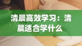 清晨高效学习：清晨适合学什么 