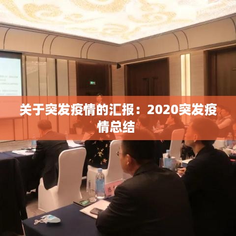 关于突发疫情的汇报：2020突发疫情总结 