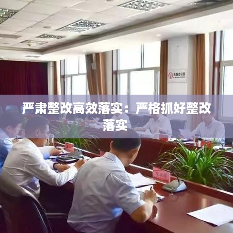 严肃整改高效落实：严格抓好整改落实 