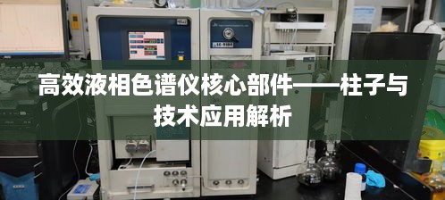 高效液相色谱仪核心部件——柱子与技术应用解析