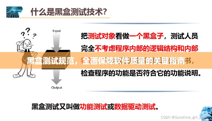 黑盒测试规范，全面保障软件质量的关键指南