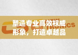 塑造专业高效权威形象，打造卓越品牌形象！