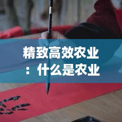 精致高效农业：什么是农业高质高效 