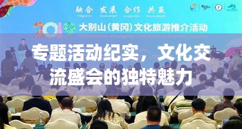 专题活动纪实，文化交流盛会的独特魅力