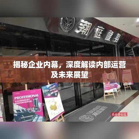 揭秘企业内幕，深度解读内部运营及未来展望