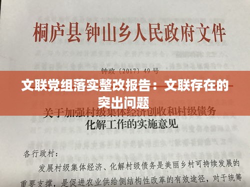 文联党组落实整改报告：文联存在的突出问题 