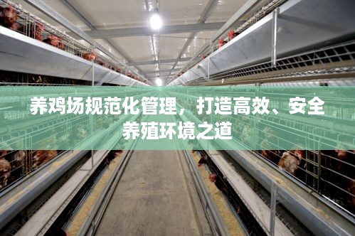 养鸡场规范化管理，打造高效、安全养殖环境之道