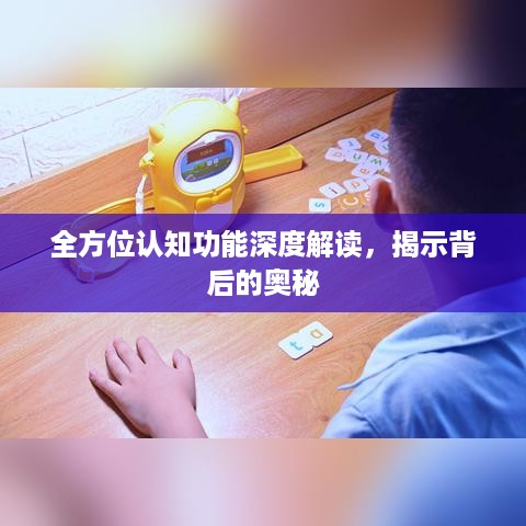 全方位认知功能深度解读，揭示背后的奥秘