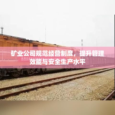 矿业公司规范经营制度，提升管理效能与安全生产水平