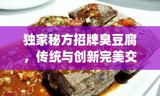 独家秘方招牌臭豆腐，传统与创新完美交融的味蕾盛宴