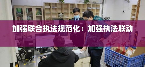 加强联合执法规范化：加强执法联动 