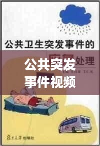 公共突发事件视频：公共突发事件处理原则 