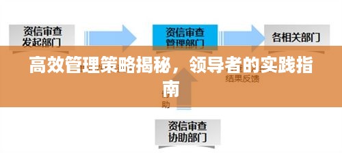 高效管理策略揭秘，领导者的实践指南