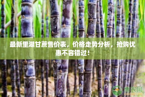 最新里湖甘蔗售价表，价格走势分析，抢购优惠不容错过！