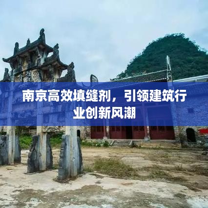 南京高效填缝剂，引领建筑行业创新风潮