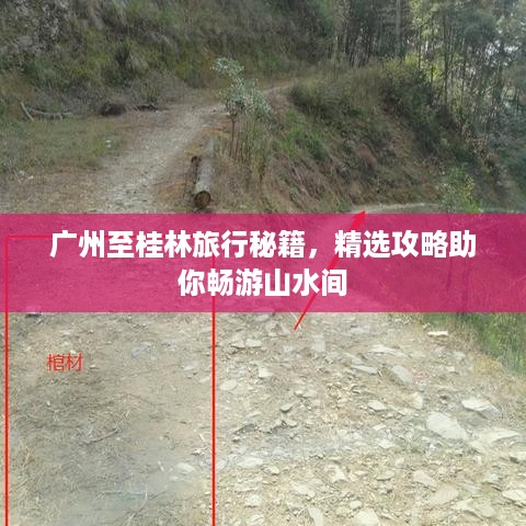 广州至桂林旅行秘籍，精选攻略助你畅游山水间