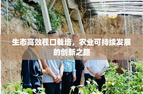 生态高效茬口栽培，农业可持续发展的创新之路