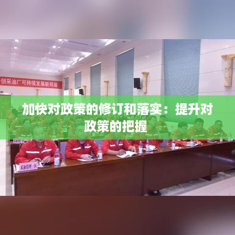 加快对政策的修订和落实：提升对政策的把握 