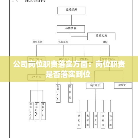 公司岗位职责落实方面：岗位职责是否落实到位 