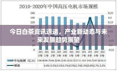 今日白茶资讯速递，产业新动态与未来发展趋势展望