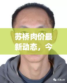 苏桥肉价最新动态，今日价格分析与潜在犯罪问题探讨