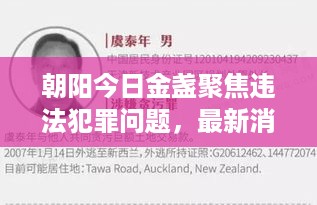 朝阳今日金盏聚焦违法犯罪问题，最新消息揭秘