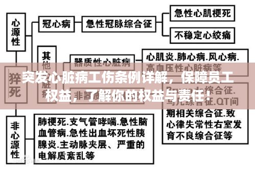 突发心脏病工伤条例详解，保障员工权益，了解你的权益与责任！