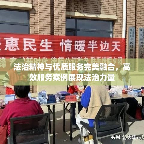 法治精神与优质服务完美融合，高效服务案例展现法治力量