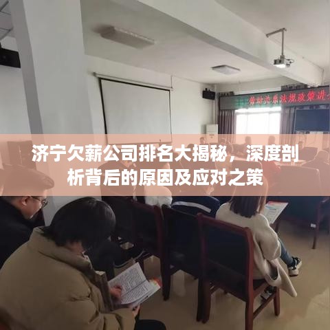 济宁欠薪公司排名大揭秘，深度剖析背后的原因及应对之策