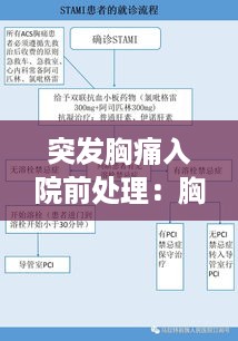 突发胸痛入院前处理：胸痛病人院前急救流程 