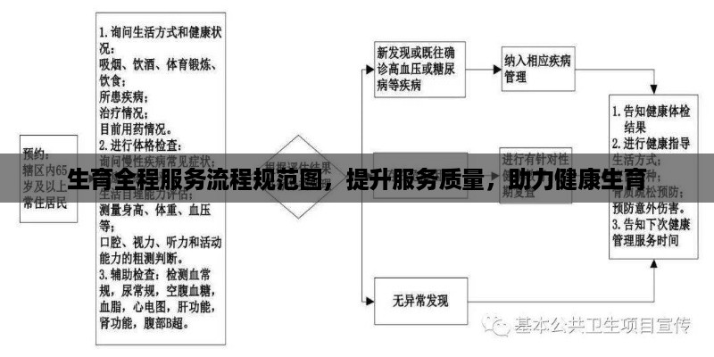 生育全程服务流程规范图，提升服务质量，助力健康生育