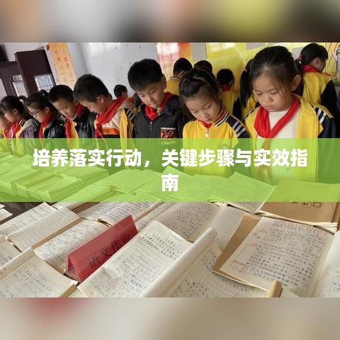 培养落实行动，关键步骤与实效指南