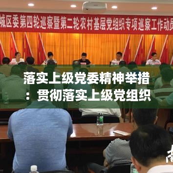 落实上级党委精神举措：贯彻落实上级党组织工作方面存在的问题 