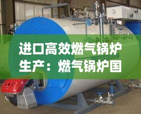 进口高效燃气锅炉生产：燃气锅炉国外品牌 